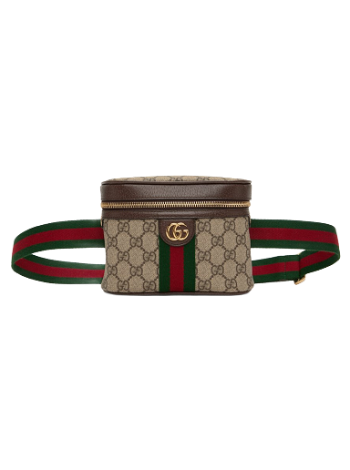 Gucci Ophidia Belt Bag 699765 96IWG