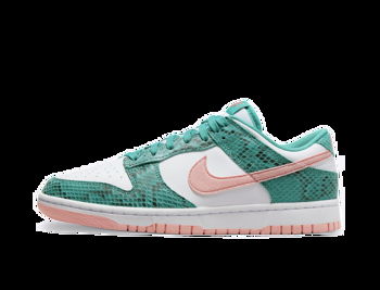 Nike Dunk Low DR8577-300